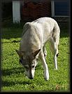 35 Hoest-Herbst-Autumn 07 * 1150 x 1497 * (1.23MB)